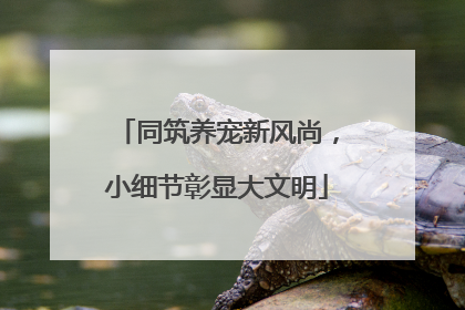 同筑养宠新风尚，小细节彰显大文明
