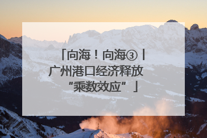 向海！向海③丨广州港口经济释放“乘数效应”