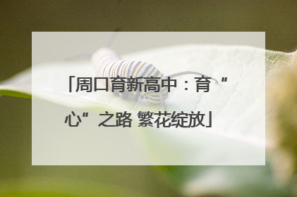 周口育新高中：育“心”之路 繁花绽放