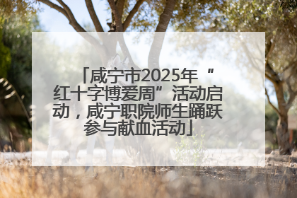 咸宁市2025年“红十字博爱周”活动启动，咸宁职院师生踊跃参与献血活动
