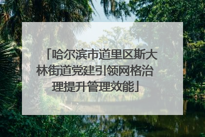 哈尔滨市道里区斯大林街道党建引领网格治理提升管理效能