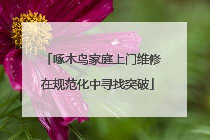 啄木鸟家庭上门维修在规范化中寻找突破