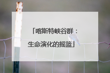 喀斯特峡谷群：生命演化的摇篮