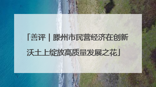 善评｜滕州市民营经济在创新沃土上绽放高质量发展之花