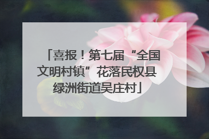 喜报！第七届“全国文明村镇”花落民权县绿洲街道吴庄村