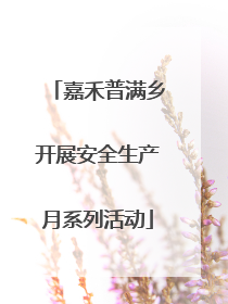 嘉禾普满乡开展安全生产月系列活动