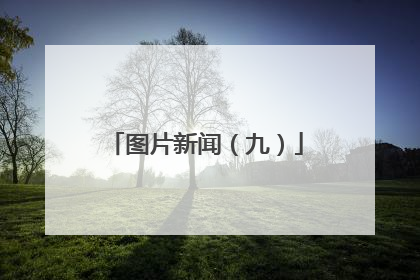 图片新闻（九）