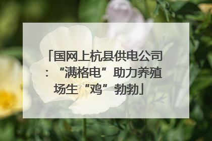国网上杭县供电公司：“满格电”助力养殖场生“鸡”勃勃
