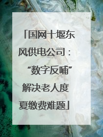 国网十堰东风供电公司：“数字反哺” 解决老人度夏缴费难题