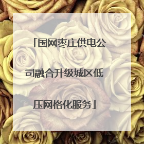 国网枣庄供电公司融合升级城区低压网格化服务