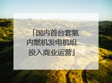 国内首台套氢内燃机发电机组投入商业运营