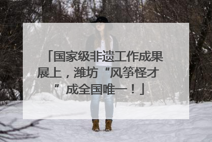 国家级非遗工作成果展上，潍坊“风筝怪才”成全国唯一！