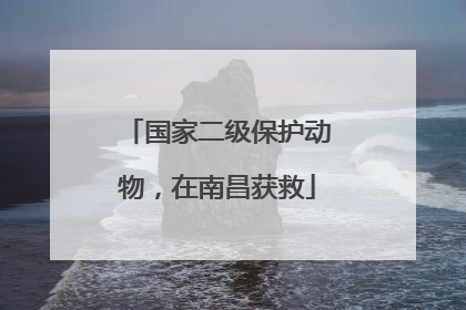 国家二级保护动物，在南昌获救
