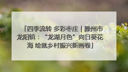 四季流转 多彩枣庄｜滕州市龙阳镇：“龙湖月色”向日葵花海 绘就乡村振兴新画卷