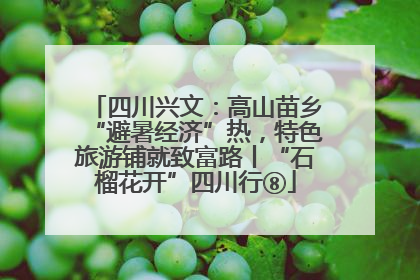 四川兴文：高山苗乡“避暑经济”热，特色旅游铺就致富路丨“石榴花开”四川行⑧