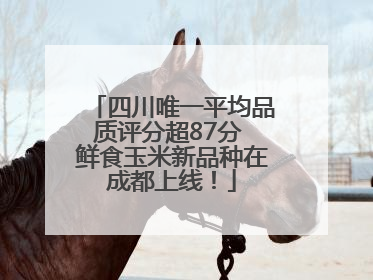 四川唯一平均品质评分超87分 鲜食玉米新品种在成都上线！