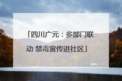 四川广元：多部门联动 禁毒宣传进社区