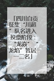四川自贡征集“川超”队名进入投票阶段：“龙焱”“龙焰”暂居一二名
