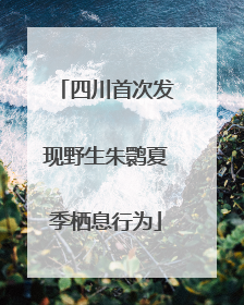 四川首次发现野生朱鹮夏季栖息行为