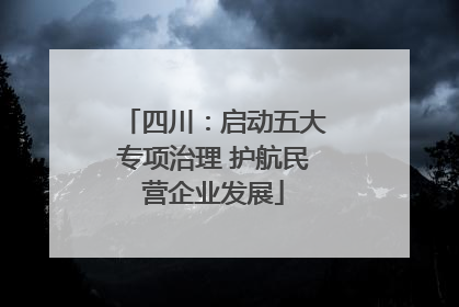 四川：启动五大专项治理 护航民营企业发展