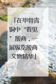 在甲骨青铜中“看见”殷商，一展纵览殷商文物精华