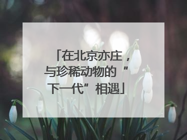 在北京亦庄，与珍稀动物的“下一代”相遇