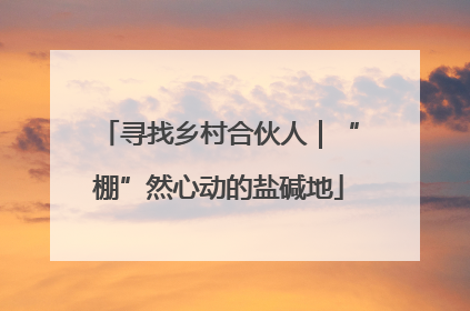 寻找乡村合伙人｜“棚”然心动的盐碱地