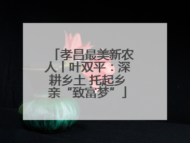 孝昌最美新农人丨叶双平：深耕乡土 托起乡亲“致富梦”