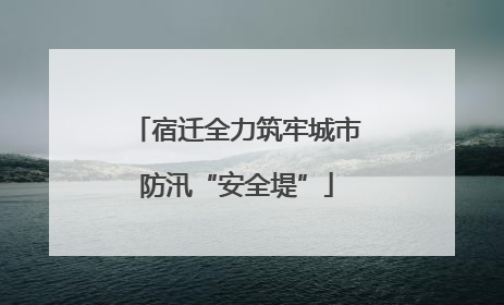宿迁全力筑牢城市防汛“安全堤”