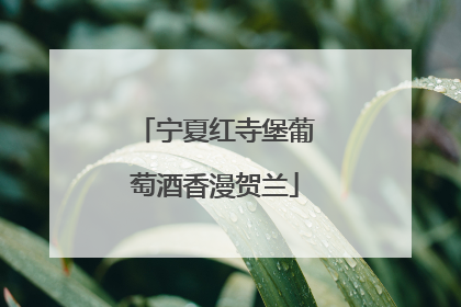 宁夏红寺堡葡萄酒香漫贺兰