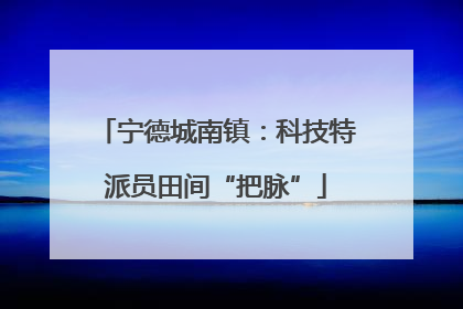 宁德城南镇：科技特派员田间“把脉”