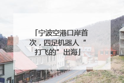 宁波空港口岸首次，四足机器人“打飞的”出海