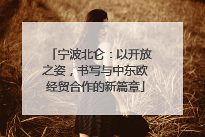 宁波北仑：以开放之姿，书写与中东欧经贸合作的新篇章