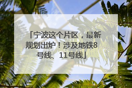 宁波这个片区，最新规划出炉！涉及地铁8号线、11号线
