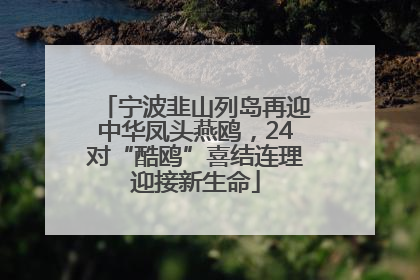 宁波韭山列岛再迎中华凤头燕鸥，24对“酷鸥”喜结连理迎接新生命
