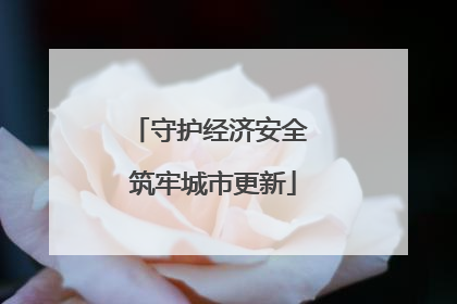 守护经济安全 筑牢城市更新