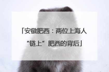 安徽肥西：两位上海人“链上”肥西的背后