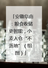 安徽阜南：粮食收储更智能，小麦入仓“不落地”（组图）