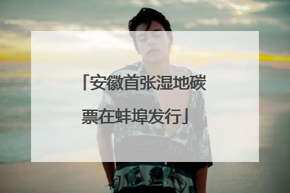 安徽首张湿地碳票在蚌埠发行