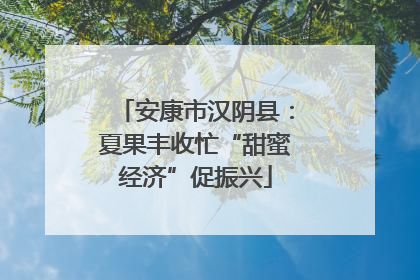 安康市汉阴县：夏果丰收忙“甜蜜经济”促振兴