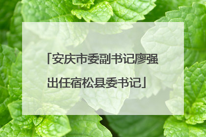 安庆市委副书记廖强出任宿松县委书记