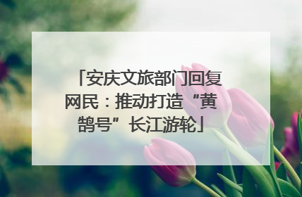 安庆文旅部门回复网民：推动打造“黄鹄号”长江游轮
