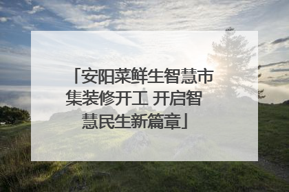 安阳菜鲜生智慧市集装修开工 开启智慧民生新篇章