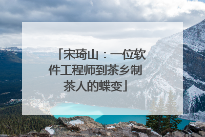 宋琦山：一位软件工程师到茶乡制茶人的蝶变