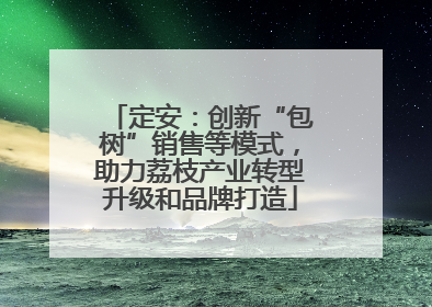 定安：创新“包树”销售等模式，助力荔枝产业转型升级和品牌打造