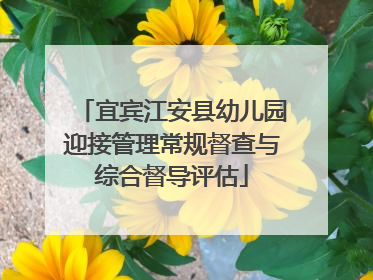 宜宾江安县幼儿园迎接管理常规督查与综合督导评估