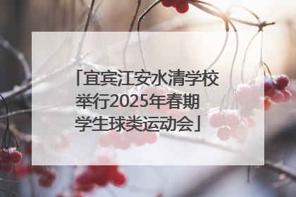宜宾江安水清学校举行2025年春期学生球类运动会