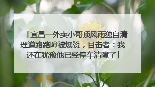 宜昌一外卖小哥顶风雨独自清理道路路障被爆赞，目击者：我还在犹豫他已经停车清障了