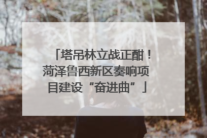 塔吊林立战正酣！菏泽鲁西新区奏响项目建设“奋进曲”