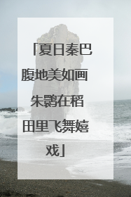 夏日秦巴腹地美如画 朱鹮在稻田里飞舞嬉戏
